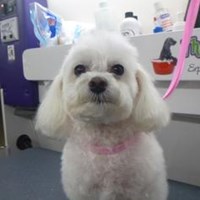 Портфолио Edwin Kelly